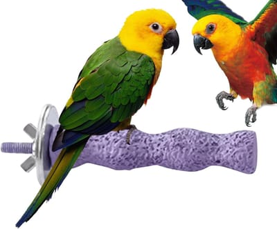 Vogel Zittok - Knaagstok Speelgoed - Nagel Verzorging - Natuurlijke Slijtage - 12 cm Lengte - paars