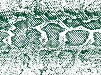 Vinyl | Vloerkleed vinyl | Snake groen | 90x120 cm