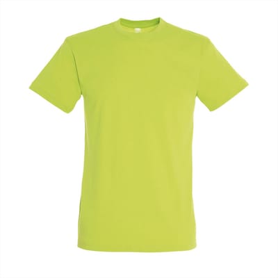 SOL'S Regent T-Shirt 150 L150 - Apple Green - L