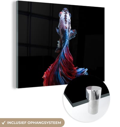 MuchoWow® Glasschilderij 160x120 cm - Schilderij acrylglas - Vis - Staart - Zwart - Foto op glas - Schilderijen