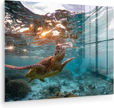 MuchoWow® Glasschilderij 160x120 cm - Schilderij acrylglas - Zee - Schildpad - Kleuren - Foto op glas - Muurdecoratie woonkamer - Wanddecoratie slaapkamer - Schilderijen