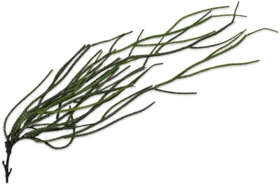 Silk-ka Kunstplant-Hangplant voor Binnen Steker Succulent Groen 97 cm