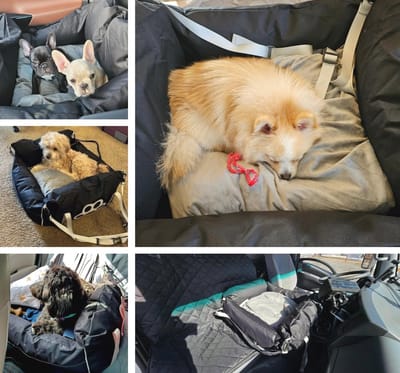 Hondenstoeltje voor kleine en middelgrote honden tot 25 kg - Veiligheidsautostoel en hondenbed
