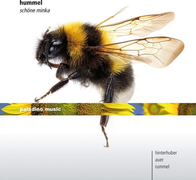 Christopher Hinterhuber & Auer & Rumme - Schöne Minka (CD)