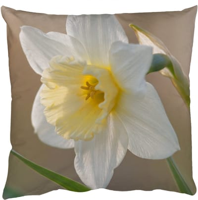 Sierkussens - Kussentjes Woonkamer - 50x50 cm - Narcis - Bloem - Minimalistisch