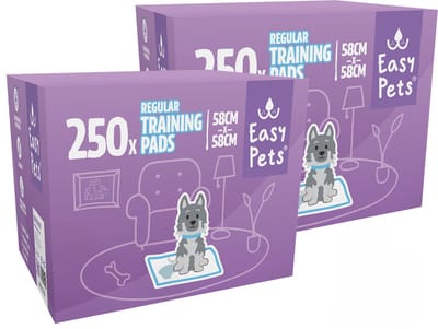 Easypets Puppy Training Pads - Zindelijkheidstraining - Hondentoilet - 58 x 58 cm - 500 stuks