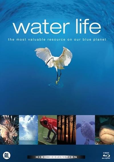 Waterlife