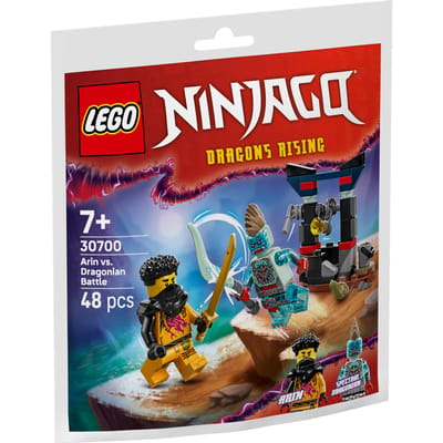 LEGO - Bags 30700 - Arin Vs. Draconi?r