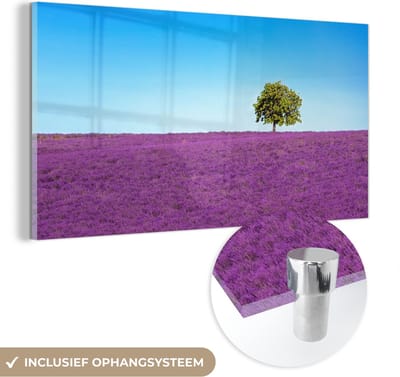 MuchoWow® Glasschilderij 40x20 cm - Schilderij acrylglas - Boom - Paars - Lucht - Lavendel - Foto op glas - Schilderijen