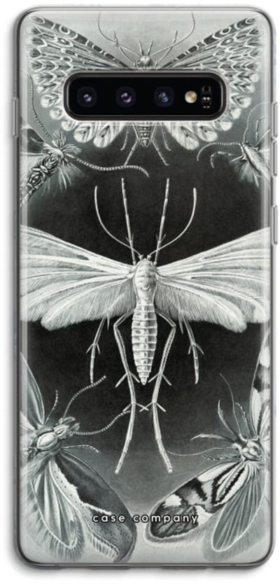 Case Company® - Hoesje geschikt voor Samsung Galaxy S10 4G hoesje - Haeckel Tineida - Soft Cover Telefoonhoesje - Bescherming aan alle Kanten en Schermrand
