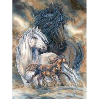 5D DIY diamant borduurwerk volledige weergave  Animal Horse  diamantschilderij 20X30CM black