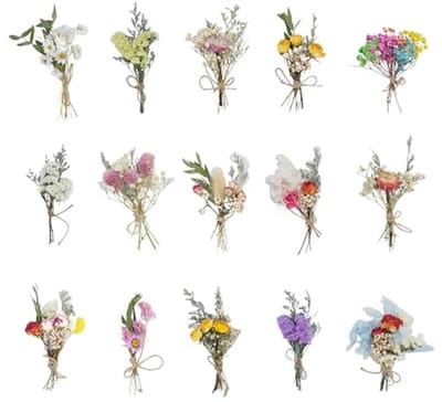 15 Trossen Gedroogde Bloemen voor DIY en Ambachtelijke Projecten
