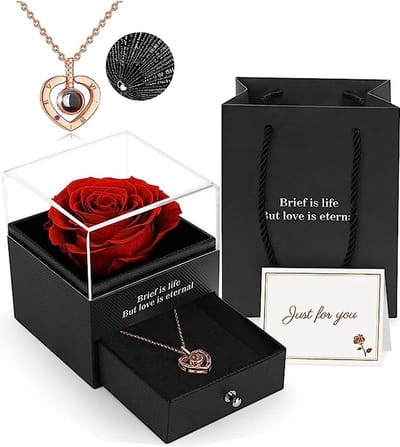 WNHB® Eeuwige roos in geschenkdoos - Met ik hou van je ketting - Handgemaakte echte roos - Romantisch cadeau voor vrouw vriendin moeder - Voor verjaardag jubileum valentijnsdag moederdag kerst
