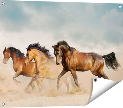 Gards Tuinposter Drie Bruine Paarden - 80x60 cm - Tuindoek - Tuindecoratie - Wanddecoratie buiten - Tuinschilderij