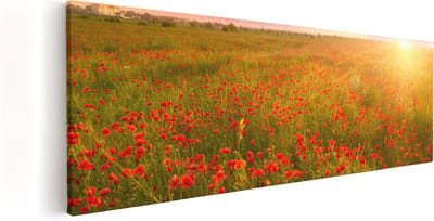 Artaza Canvas Schilderij Klaprozenveld - 60x20 cm - Wanddecoratie Zonsondergang - Muurdecoratie Bloemen Natuur - Kamer Accessoires Woonkamer