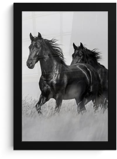 Poster in lijst - Fotolijst 20x30 cm - Posters - Paarden - Gras - Zwart - Wit - Posterlijst zwart - Decoratie - Wanddecoratie woonkamer - Muurdecoratie slaapkamer
