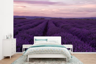 Behang - Fotobehang Lavendel - Paars - Bloemen - Natuur - Breedte 320 cm x hoogte 240 cm