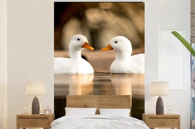 Behang - Fotobehang Eend - Wit - Dieren - Water - Vogel - Eenden - Breedte 195 cm x hoogte 300 cm