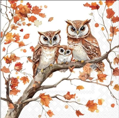 Lunch Servetten Family of owls - Ambiente - 33x33 cm