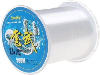 Sterke Nylon Visdraad 500m - Doorzichtige Vislijn voor Vissen en DIY Knutselprojecten - 0.25mm Diameter