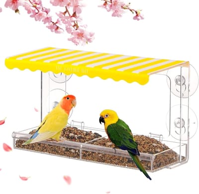 Transparante Vogelvoeder voor het Raam, Squirrel Proof en Ideaal voor Katten, Met Sterke Zuignappen en Afvoergat voor Optimale Voedingservaring
