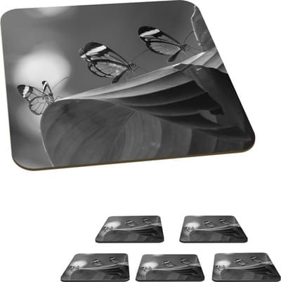 Onderzetters voor glazen - Doorzichtige vlinder op een blad in Costa Rica in zwart wit - 10x10 cm - Glasonderzetters - 6 stuks