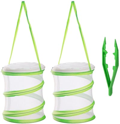 Dailygoods- Insectenkooi Set van 2 - Insectenvallen - Natuur Exploratie - Outdoor Leermiddelen - Ademend Gaas - Inclusief Pincet 11Cm - Insectenvanger