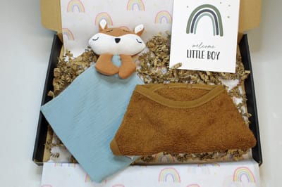 Brievenbuscadeau Riva - kraamcadeau - cadeau baby jongen - cadeau babyshower
