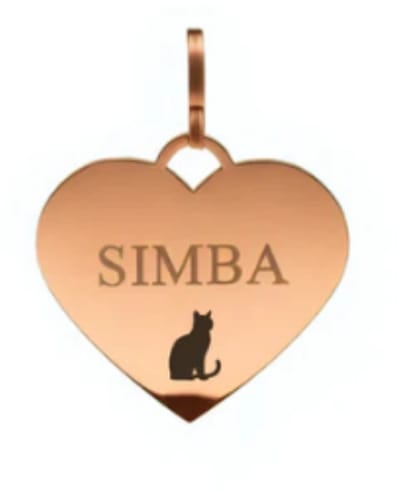 RVS Hartjespenning voor Katten | Penning hart Katten | Kleine kattenpenning | Brons Rosé hartje voor katten | Huisdierbedel | Kattenbedel | Petshop Seven