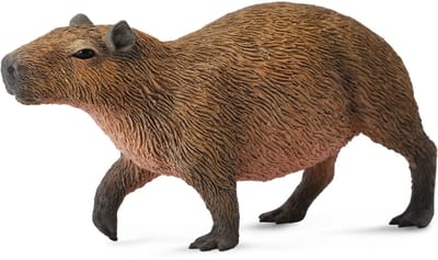COLLECTA Figurine - Waterzwijn - (M) - Bosdieren - Handgeschilderd - Miniatuur