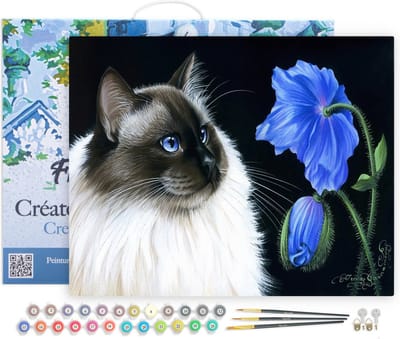 Figured'Art Schilderen op Nummer Volwassenen met lijst - Floraal face-to-face - Handwerk acrylverf Kit DIY Compleet - 40x50cm Canvas al ingelijst