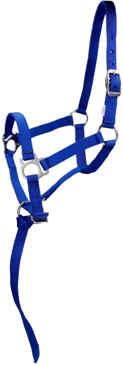 Barato Veulenhalster Donkerblauw