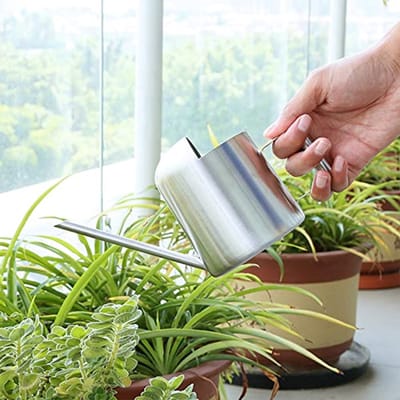 Gieter Roestvrijstaal - Waterkannetje Binnen - Planten Verzorgen - Precisie Uitloop - 300 Ml - Zilver