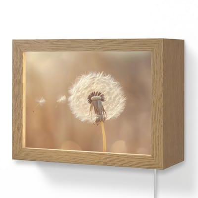 Wandlamp 20x15 cm - Oplaadbaar - Paardenbloem - Beige - Natuur - Bloem - Wandlampen binnen woonkamer - Slaapkamer lamp met kabel - Decoratieve nachtlamp - Vloerlamp snoer