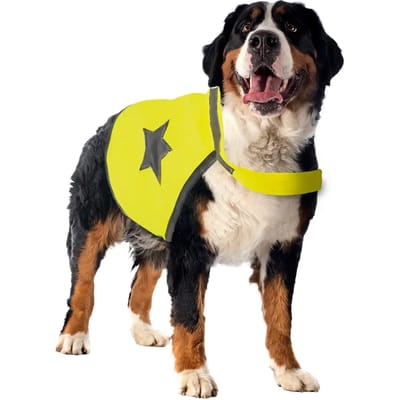 Veiligheidsvest voor honden Duvoplus