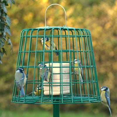 CJ Wildlife Voedersilo met Beschermkooi voor Vetbollen, Vetblokken & Pindacake - Metalen Vogelvoedersilo voor Kleine Vogels - Hangend Vogelvoederhuisje - Groen