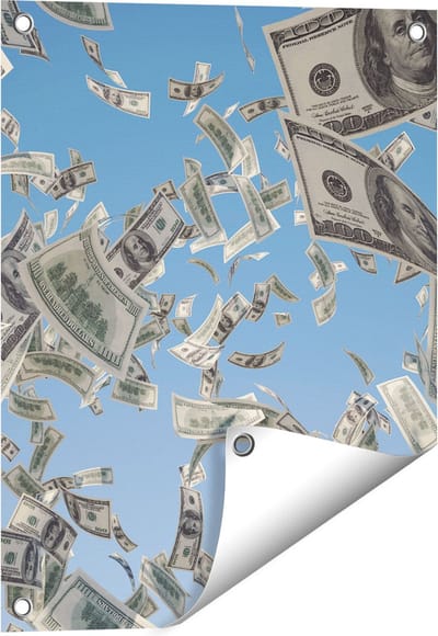 Gards Tuinposter Dollarbiljetten in de Lucht - Geld - 40x50 cm - Tuindoek - Tuindecoratie - Wanddecoratie buiten - Tuinschilderij