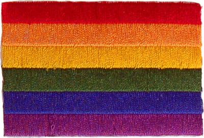Strijkapplicatie 8x6cm vlag Regenboog
