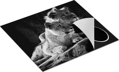 Chefcare Inductie Beschermer Leeuw en Leeuwin zitten naast elkaar - Zwart Wit - 60x50 cm - Afdekplaat Inductie - Kookplaat Beschermer - Inductie Mat