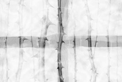 Fotobehang ThornArt3 DD117860 A.S. Création Atelier 47 | Fotobehang online webshop