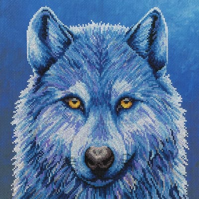 Bothy Threads Rachel Froud Mystique borduren (pakket) XRF9