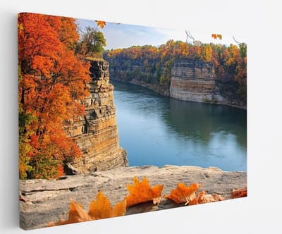 Saammp Canvas Schilderij - Rode Bladeren op Rots - Natuur - Landschap - 45x30 - Foto op canvas - Wanddecoratie - Muurdecoratie Woonkamer - Slaapkamer decoratie - Canvas Print