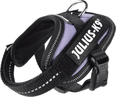 Julius-K9 IDC®Powertuig, 3XS - Baby1, paars