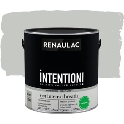 Renaulac Intention Muurverf - Extra Mat - Intense Breath - 2,5l