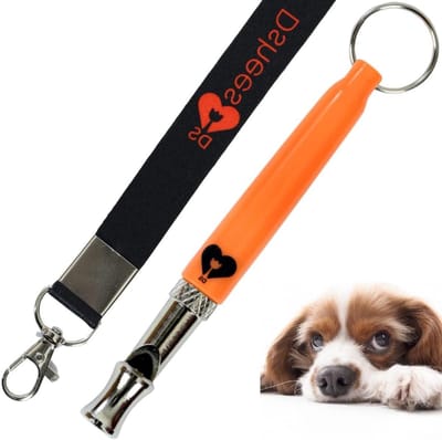 Fluitje Met Lanyard voor Hondentraining - Terugroep en Blafstop