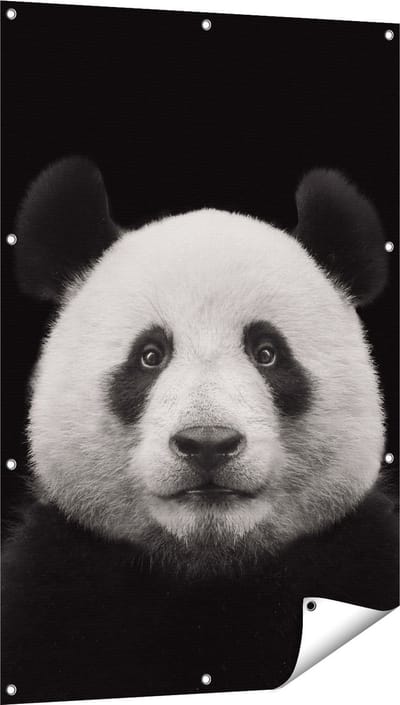 Gards Tuinposter Panda - Pandakop - 80x120 cm - Tuindoek - Tuindecoratie - Wanddecoratie buiten - Tuinschilderij