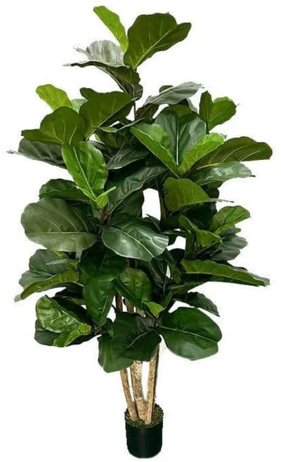 Ficus Kunstplant 180cm | Grote kunstplant voor binnen | Kunst Ficus 180cm | Nep Ficus | Kunstboom 180cm