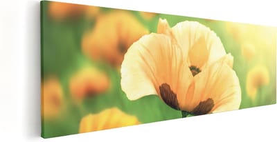 Artaza Canvas Schilderij Bloemen - 60x20 cm - Wanddecoratie Klaproos - Muurdecoratie Woonkamer - Kamer Accessoires