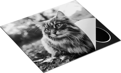 Chefcare Inductie Beschermer Kat met Groene Ogen op het Gras - Zwart Wit - 60x50 cm - Afdekplaat Inductie - Kookplaat Beschermer - Inductie Mat