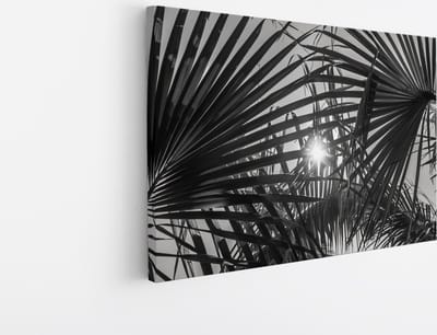 Saammp Canvas Schilderij - Zon tussen de planten - Zwart-Wit - Landschap - Natuur - 45x30 - Foto op canvas - Wanddecoratie - Muurdecoratie Woonkamer - Slaapkamer decoratie - Canvas Print